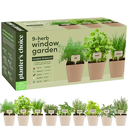 9 Organic Herbs Indoor Window Herb Garden Growing Kit Home